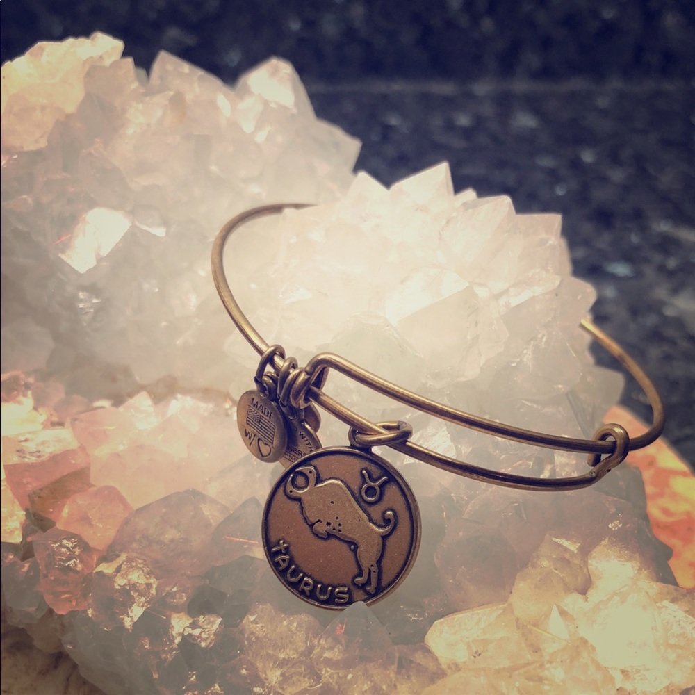 “Taurus” Alex and Ani charm bracelet